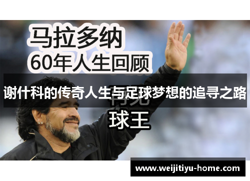 谢什科的传奇人生与足球梦想的追寻之路